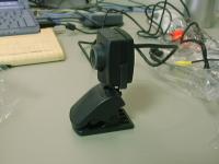 ちょこんとお座り