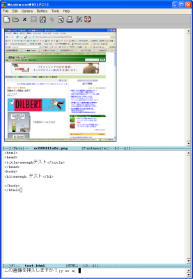 ����Ȋ���